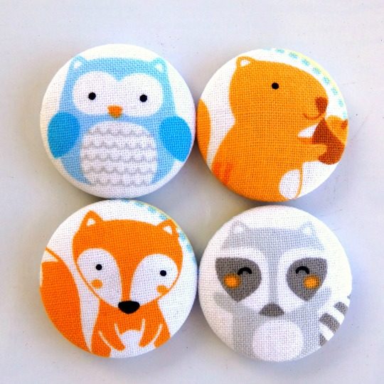 Set of 4 Woodland Creatures Magnets